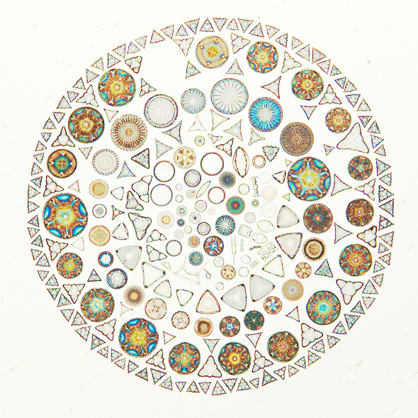 Lebensformeln – systemische Ordnungen