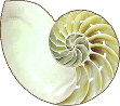 psychotera Logo psychotera Logo